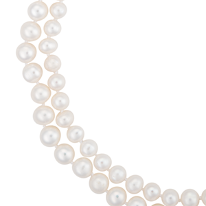 A close-up of a graduated double-strand white freshwater cultured pearl necklace